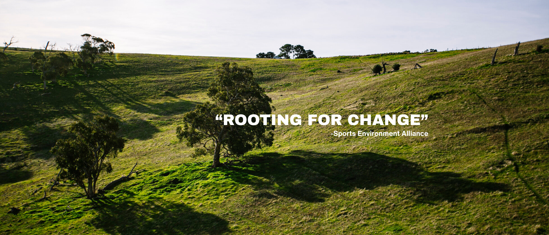 Rooting for Change