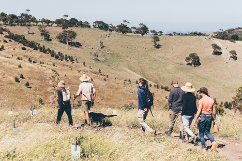 Reviving the Hills of Carrickalinga